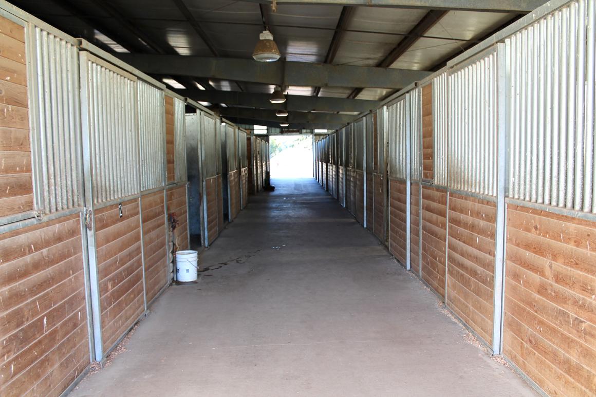 Stable interior showing stalls
