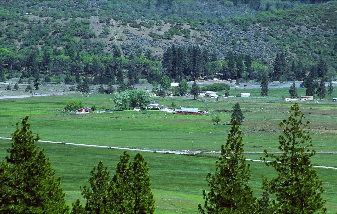 Lush Shasta Valley