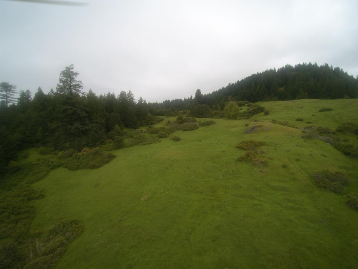 aerial of grassland