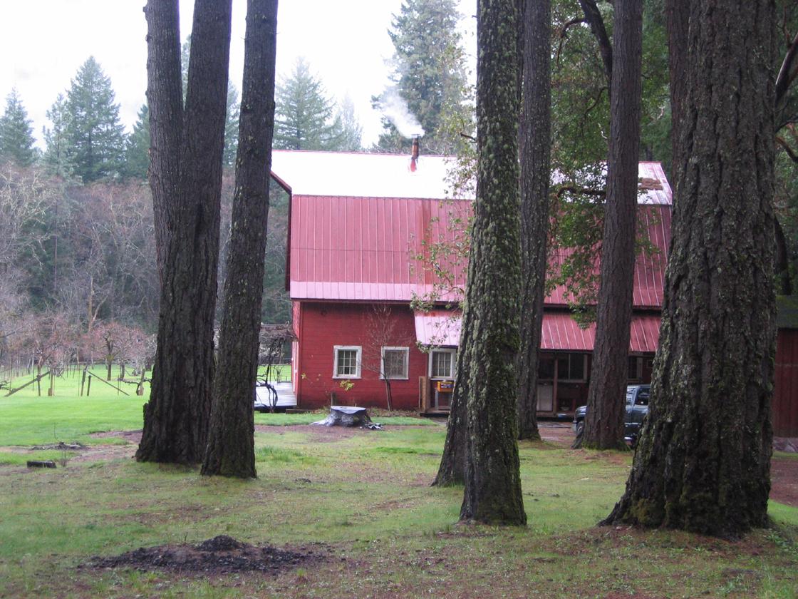 trees to red barn home