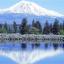 Shasta reflected in a lake