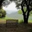 Bench with idyllic view